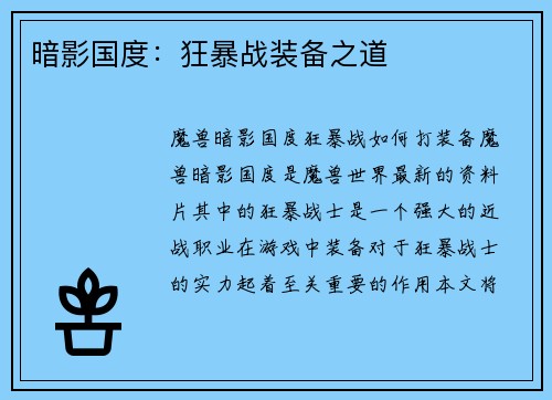 暗影国度：狂暴战装备之道